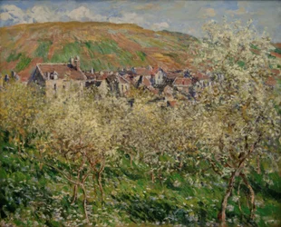 Pruniers en Fleurs